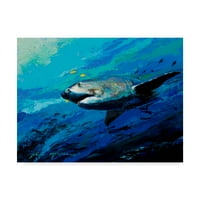Marka Güzel Sanatlar 'Güçlü Boğa Köpekbalığı' Tuval Sanatı Jace D. Mctier