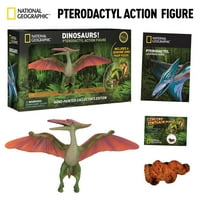 National Geographic Pteradactyl Aksiyon Figürü-Gerçekçi Dinozor Oyuncak Gerçek Dino Kaka Fosil