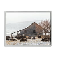 Stupell Industries Kar Tozlu Ahır Buffalo Bison Kırsal Çiftlik Fotoğraf Gri Çerçeveli Sanat Baskı Duvar Sanatı, Tasarım