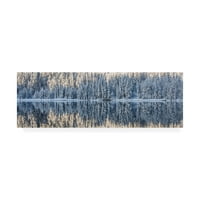 Ross Lipso tarafından Marka Güzel Sanatlar 'Kış Sessizliği Ormanı' Tuval Sanatı