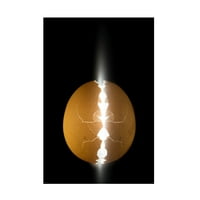 Wieteke de Kogel 'Uzaylı Yumurtası' Tuval Sanatı