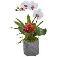 Gri Vazoda Neredeyse Doğal Mini Phalaenopsis Orkide ve Bromeliad İpek Aranjmanı