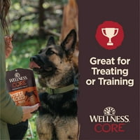 Wellness CORE Power Paketli Sarsıntılı Köpek Muameleleri, Tahılsız, Sığır Eti, Çanta