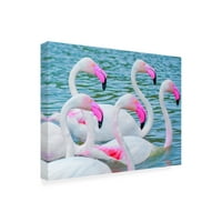 Ben Heine 'Flamingoların Gösterişli 3'ü' Tuval Sanatı