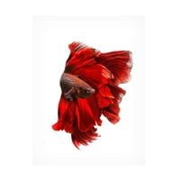 Andi Halil 'Kırmızı Elbise' Tuval Sanatı