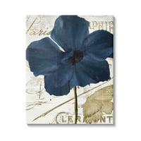 Stupell Industries Cesur Mavi Çiçek Yaprakları Vintage Kelebek Senaryo Grafik Sanat Galerisi Sarılmış Tuval Baskı