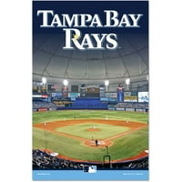 WinCraft Tampa Bay Rays Stadyumu 11 17 Ahşap Tabela