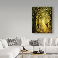Cherie Roe Dirksen'den Güzel Sanatlar 'Güneşli Orman Yolu' Tuval Sanatı