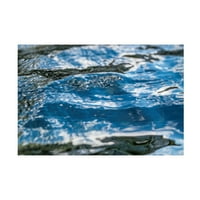 Eva Bane 'Katlanır Su 03' Tuval Sanatı