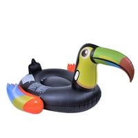 Havuz Şamandırasında 50 Çok Renkli Toucan Kuş Yolculuğu