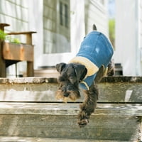 Gap Pet, Köpek Giysileri, Mavi Denim Pet Ceket