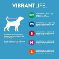Canlı Yaşam Köpek Kazak Kürk Fluence- Küçük